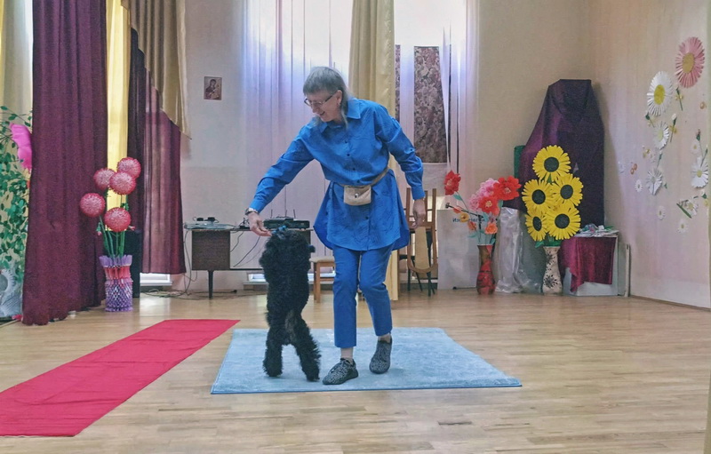 https://i.postimg.cc/ZRCZkhXd/Bl-D3-CVc-Oot-A.jpg