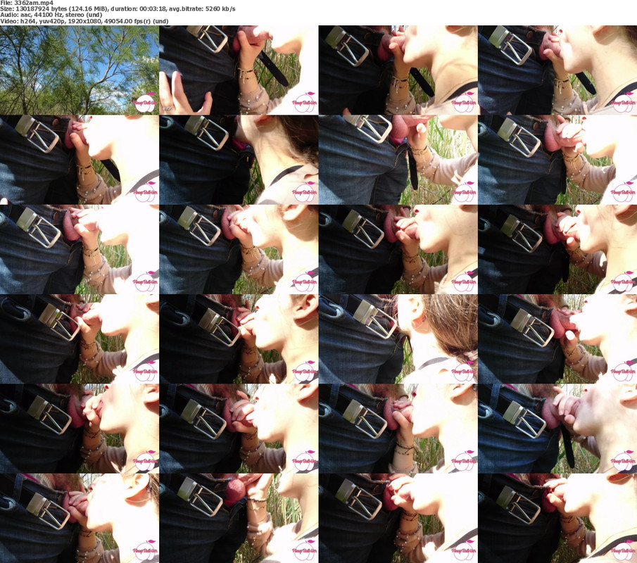 08092024142346screenshot