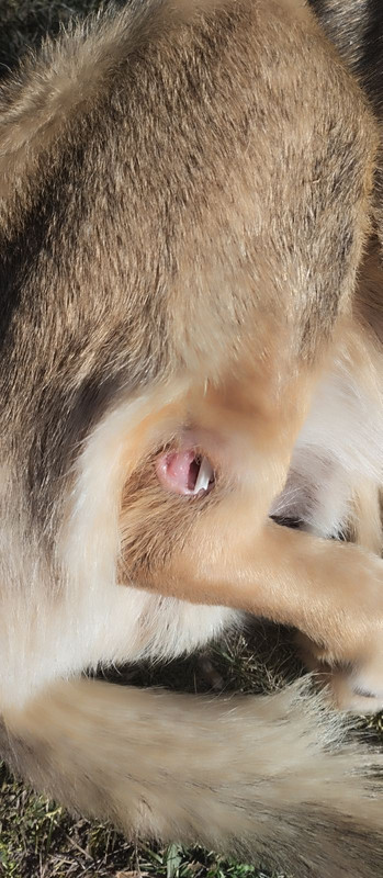 IMG 9c0359def4c12c5125346be83da95b2a V