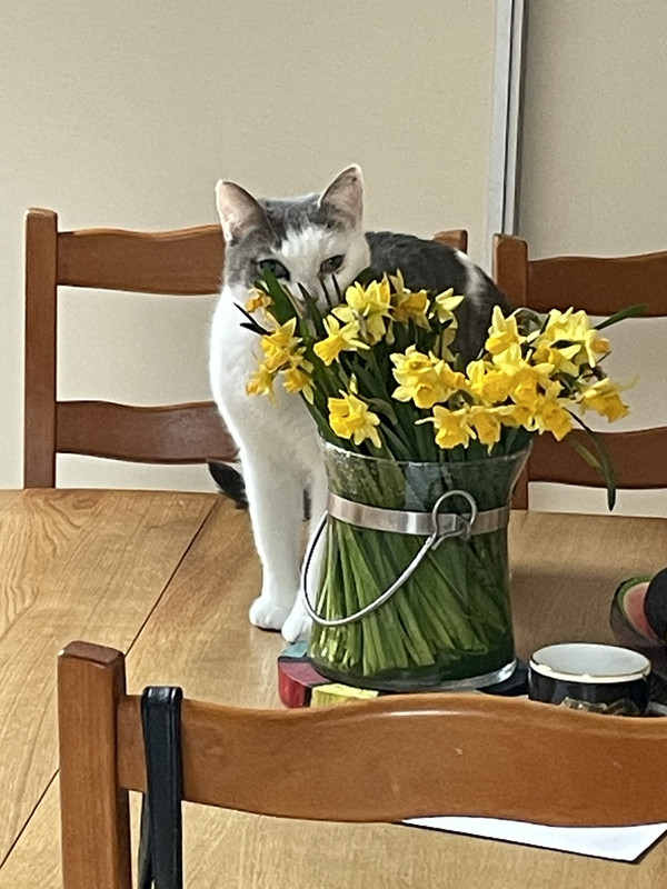 IMG-6172664523c02ef18c5bf7d4519c0b6f-V