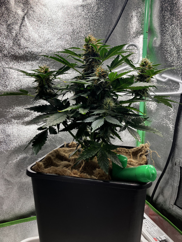 8D723948-532A-43F6-9DA0-11E027B5DF71