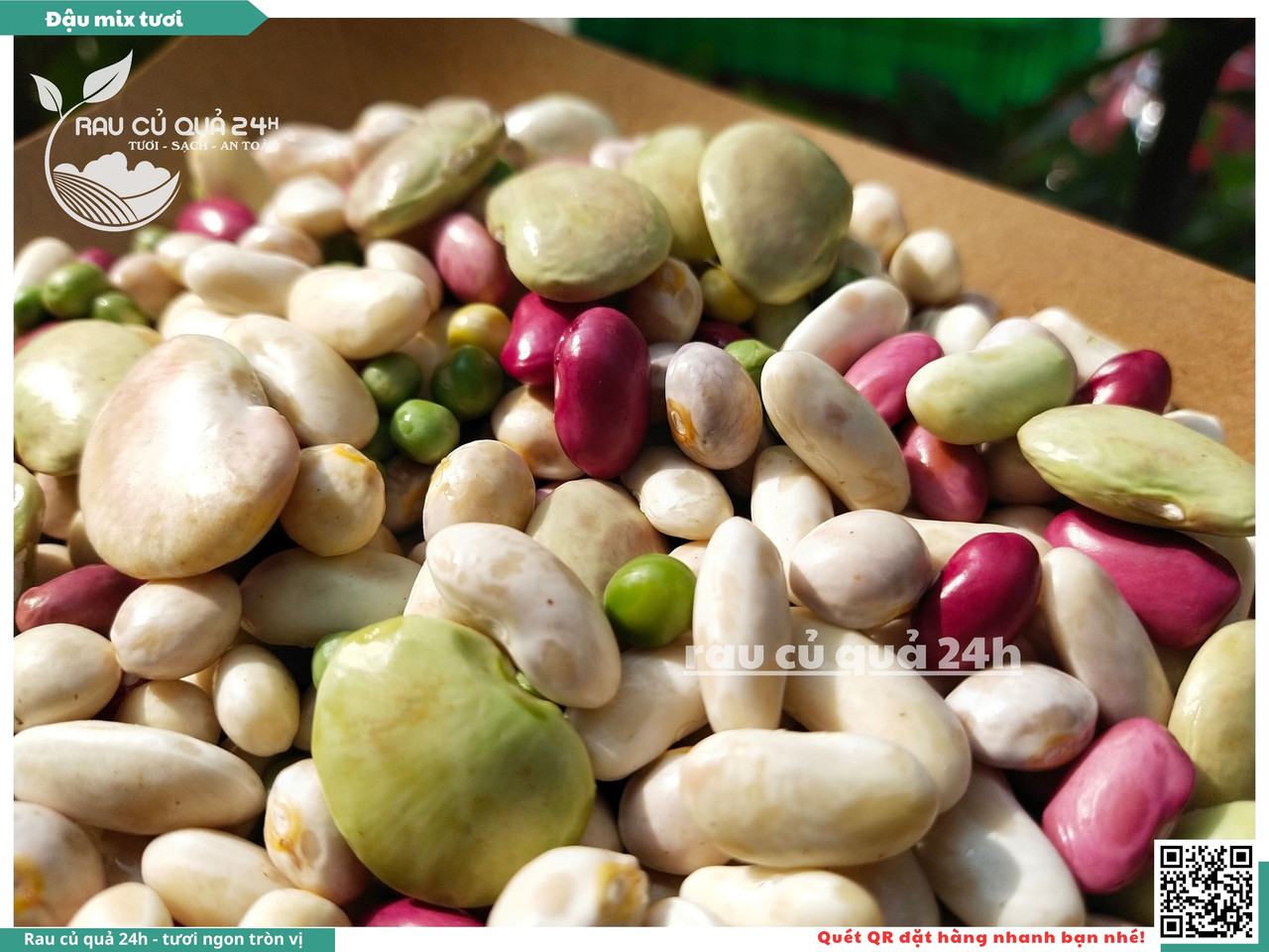 Đậu Mix Tươi 13