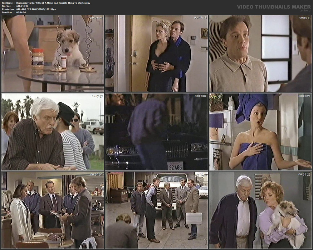 Diagnosis Murder S05e11 A Mime Is A Terrible Thing To Waste.mkv