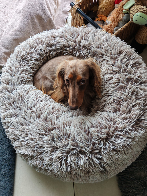 [Image: IMG-20251120-130057.jpg]