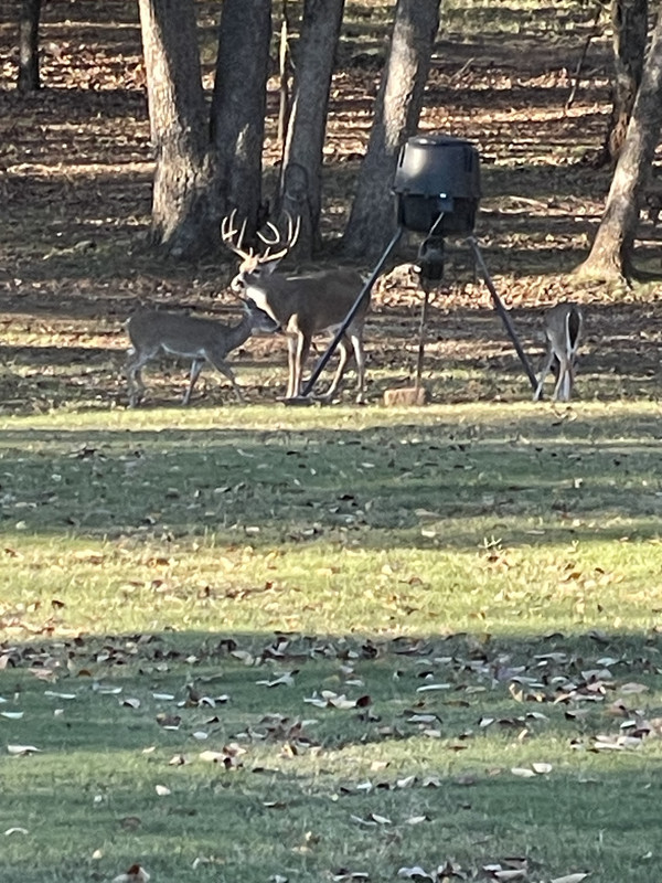 78FB1ACB-C84F-4534-A300-6C4B6053E2C3