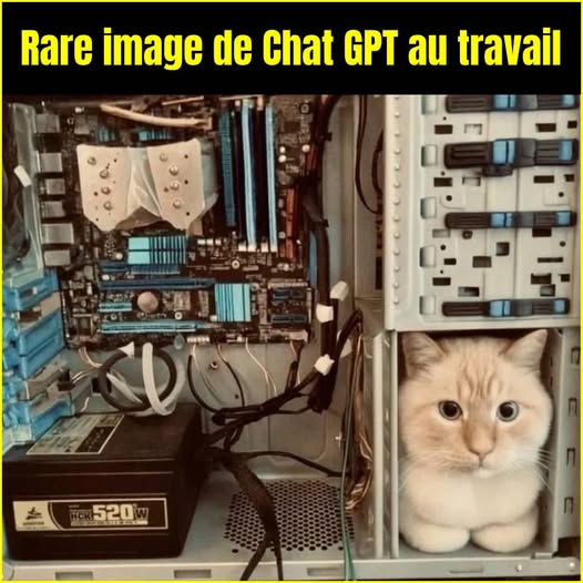 Humour divers - Page 11