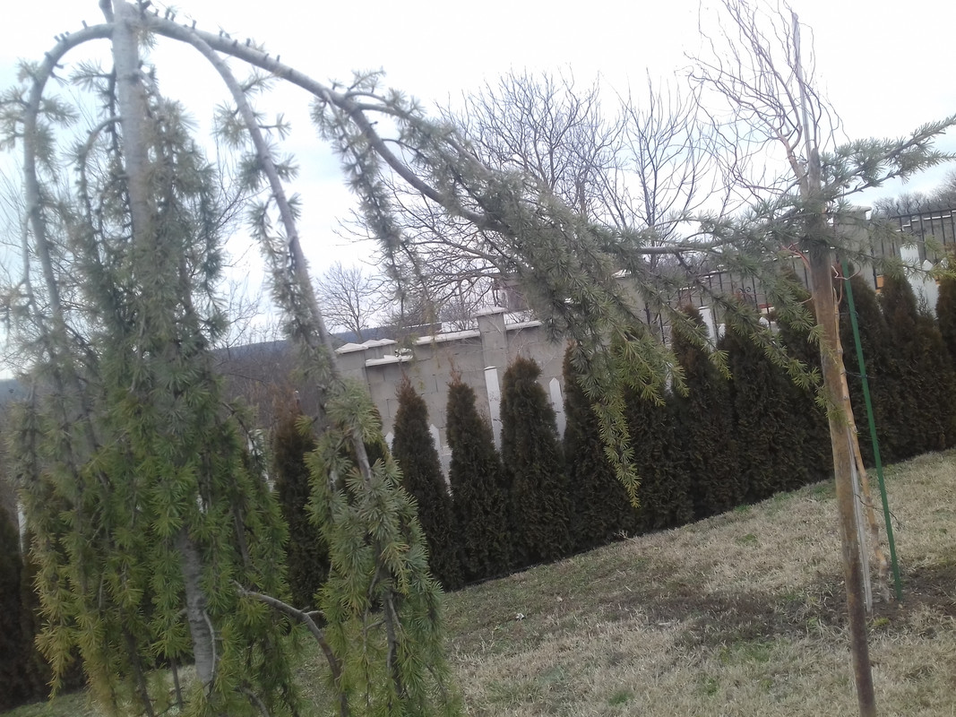 20190216_130152