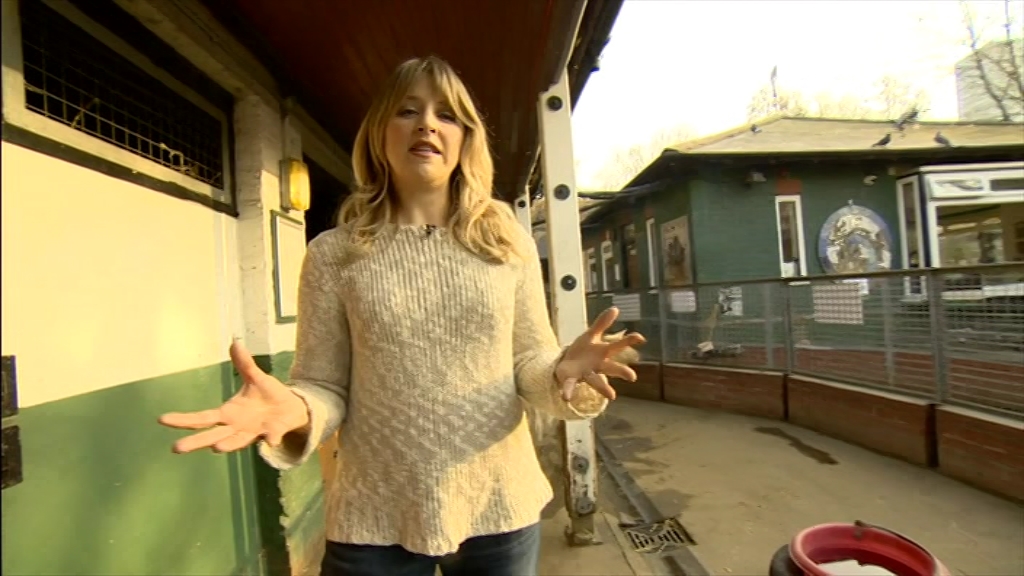 BBC London News_20220324_18301900.ts_snapshot_25.33.257