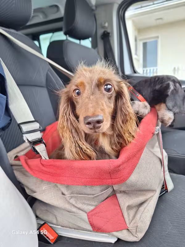 [Image: 20241013-135121.avif]