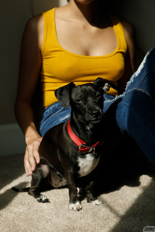 full_009_2621113334133902