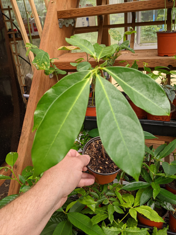 PXL_20230724_190545397