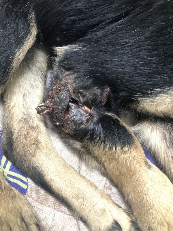 0B142B59-CEB6-4455-9097-ADC4B1496250