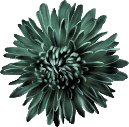 Autumn Witchery (101)