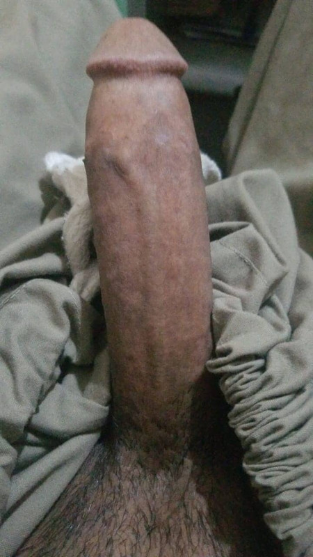 IMG 7992