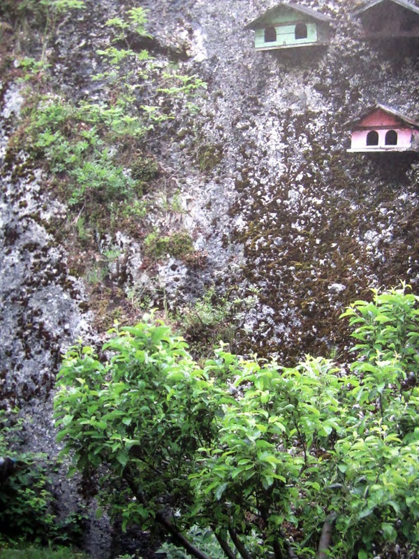 Тонино Гуэрра Уйти как прийти_page-0062