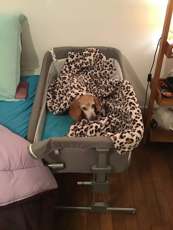 [Image: C510-AEB6-3687-4612-B591-8-C5-FA6-A6566-A.jpg]