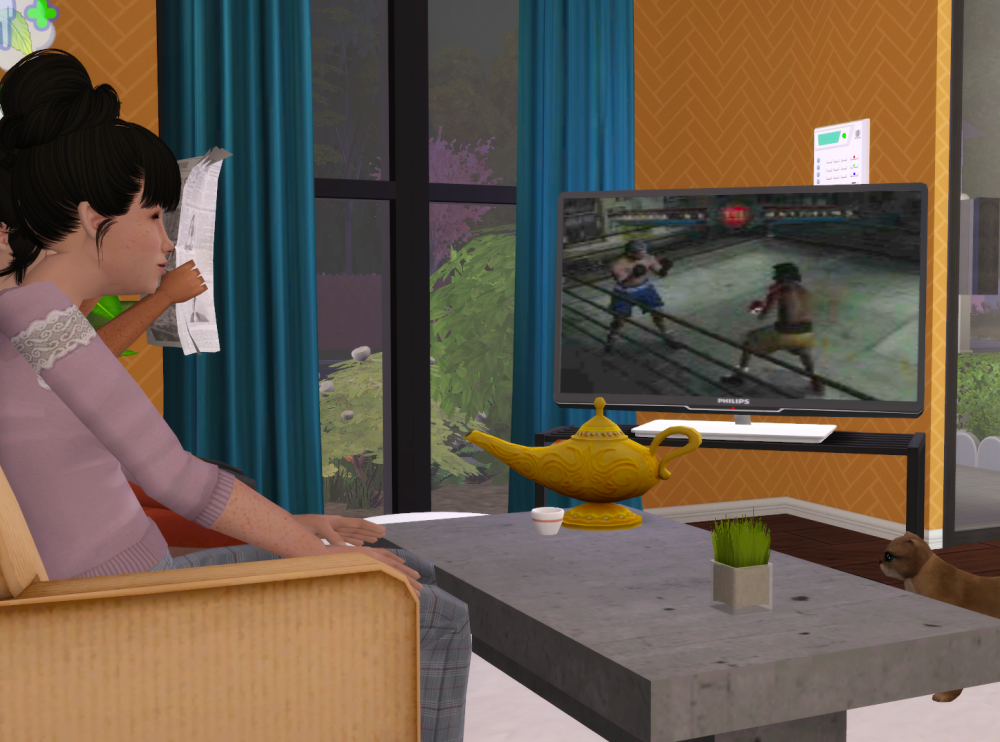 Sims2-EP9-RPC-2021-11-26-21-52-02-16