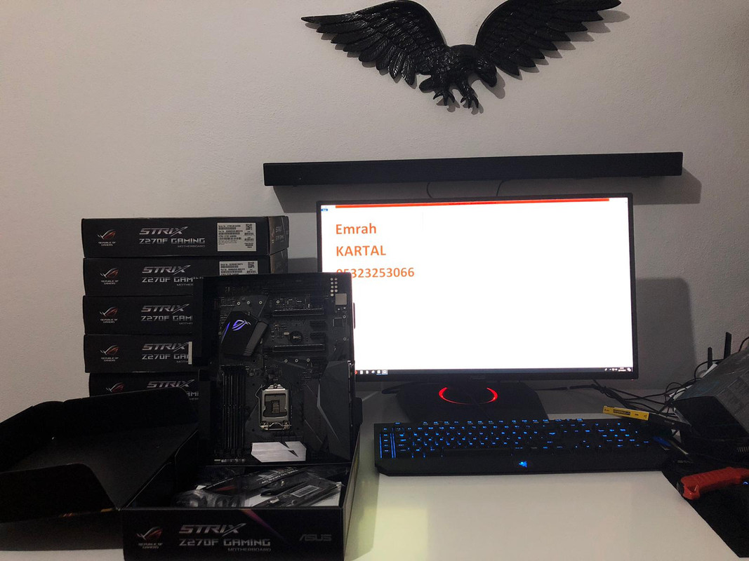 WhatsApp Image 2018-11-22 at 21.15.56 (1)