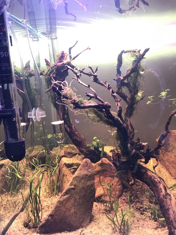 64D43722-1A7F-46C4-900D-6EDF04B2193D