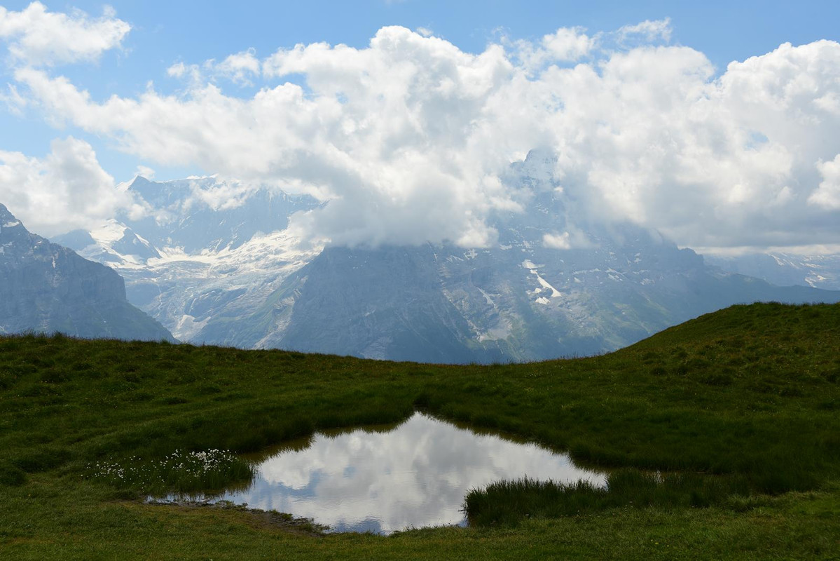 Huyendo del COVID a los Alpes (2020) - Blogs de Suiza - De casa a Grindelwald (Zona de Interlaken) (10)