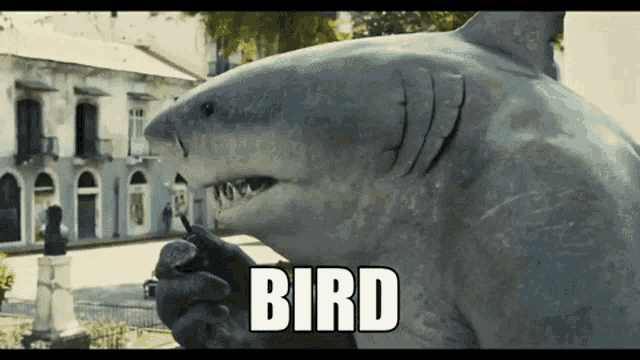 king-shark-suicide-squad.gif