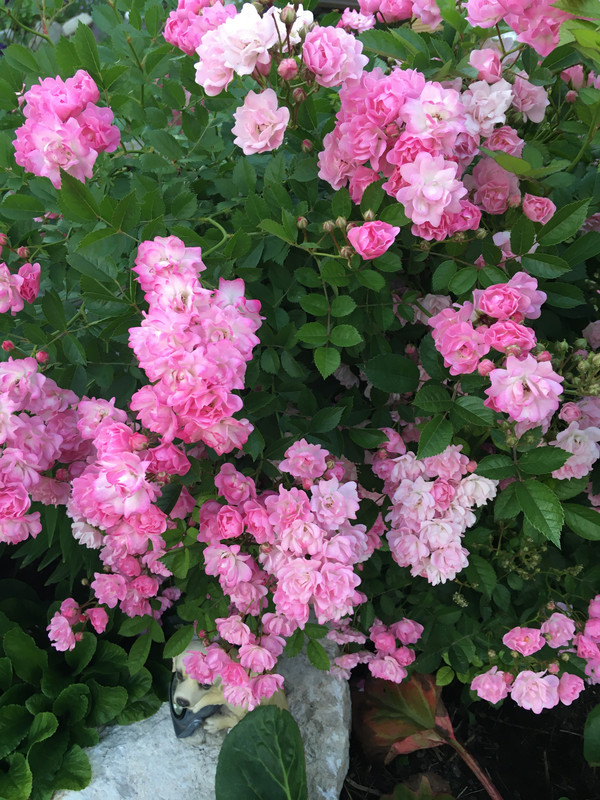 6D416942-7FB5-4B93-9139-A8C7B036E2E6