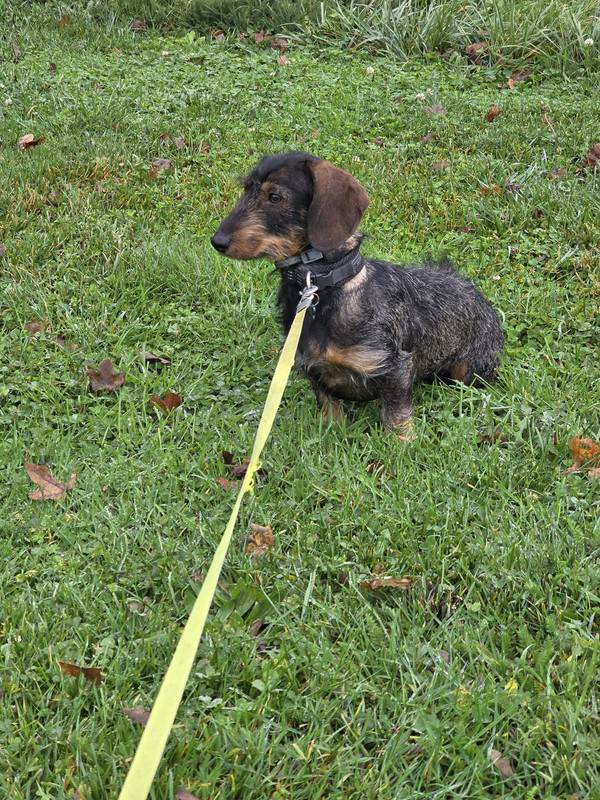 [Image: IMG-20251110-WA0014.jpg]