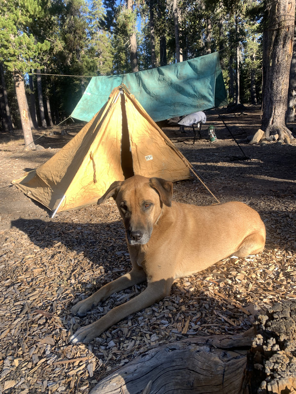 EE1DD57A-E5FE-4376-B9BB-91C3438E810A