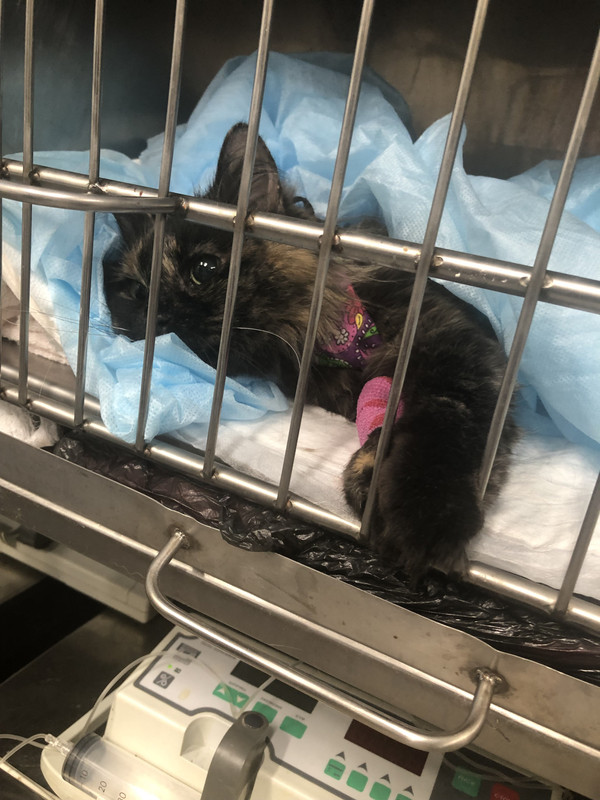 00F1E609-FE0B-4961-8551-D83AF99FD856