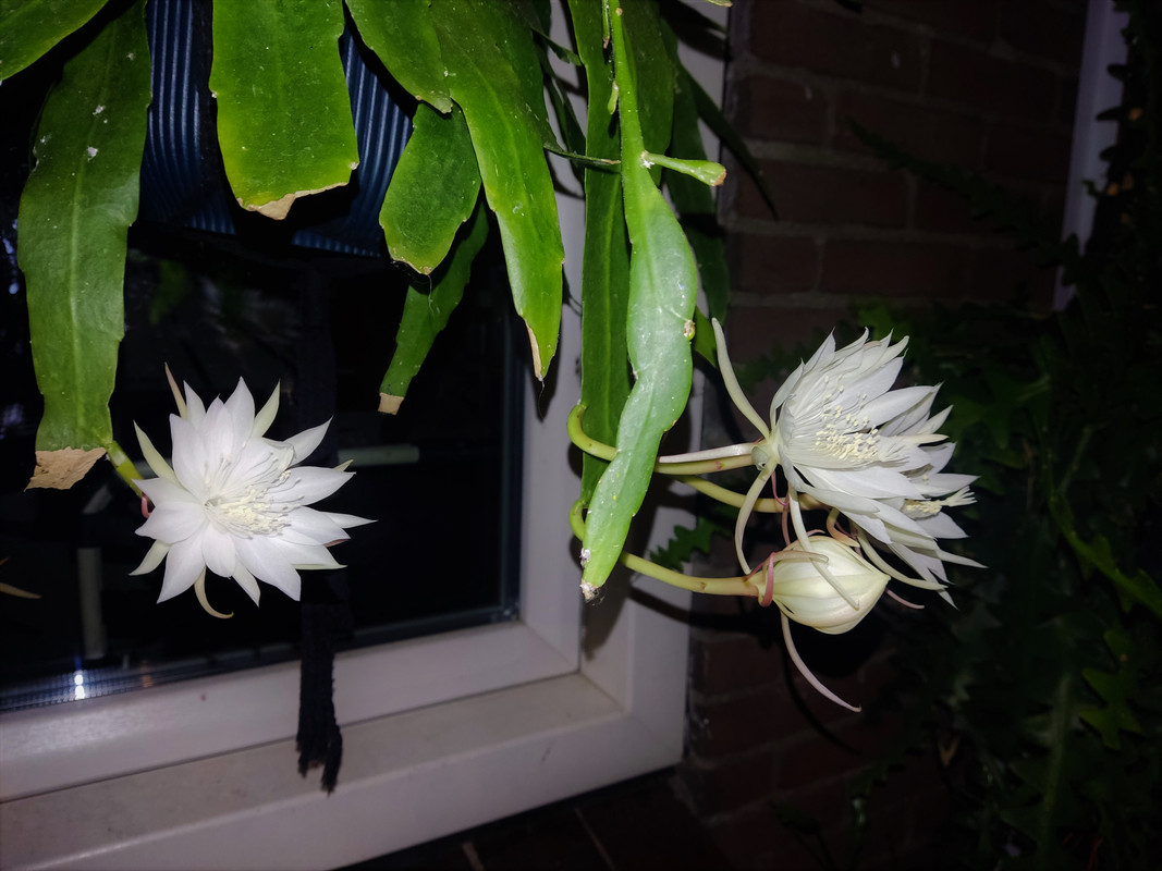 IMG_20220904_221536 (2)