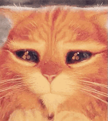 4b8d540e1935a408343f03e39996115f.gif