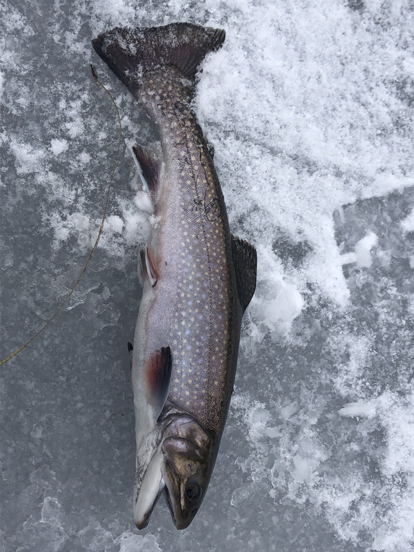 38A10280-4FDF-47FE-8821-BCBB8388E16E