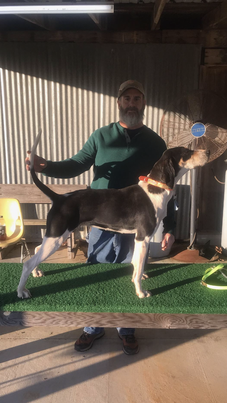 0052B25F-A537-497A-A35A-0E846C2888C8