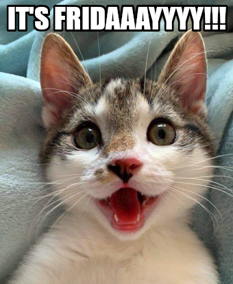 friday-cat.jpg