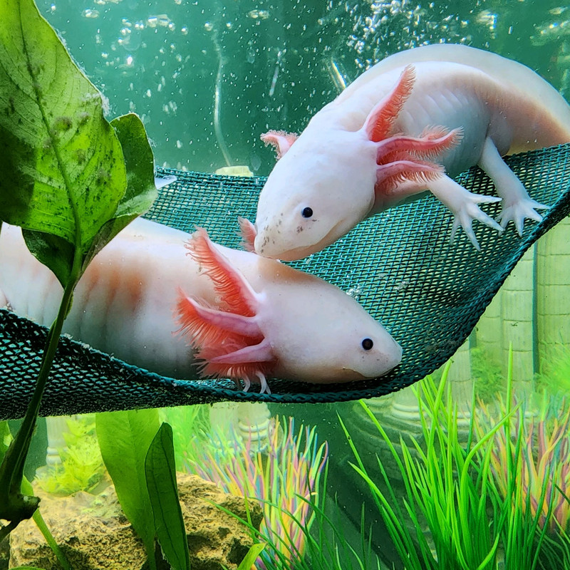 505844711 24704074252514401 232817288222707244 n