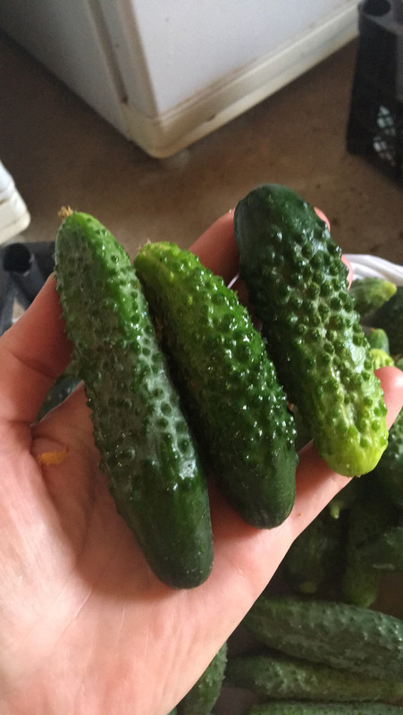 4570A3EF-E440-4A24-87E4-5D3FD537E374