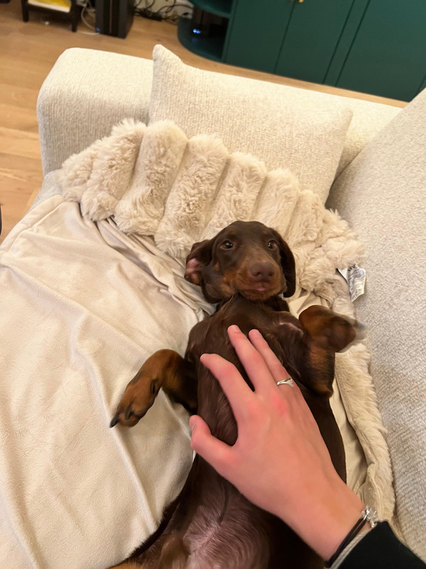 [Image: IMG-20251207-WA0011.jpg]