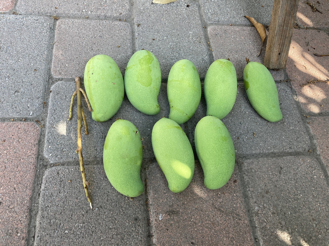 A52CE3FE-3FE4-4AD3-AFFD-F027F900A70B