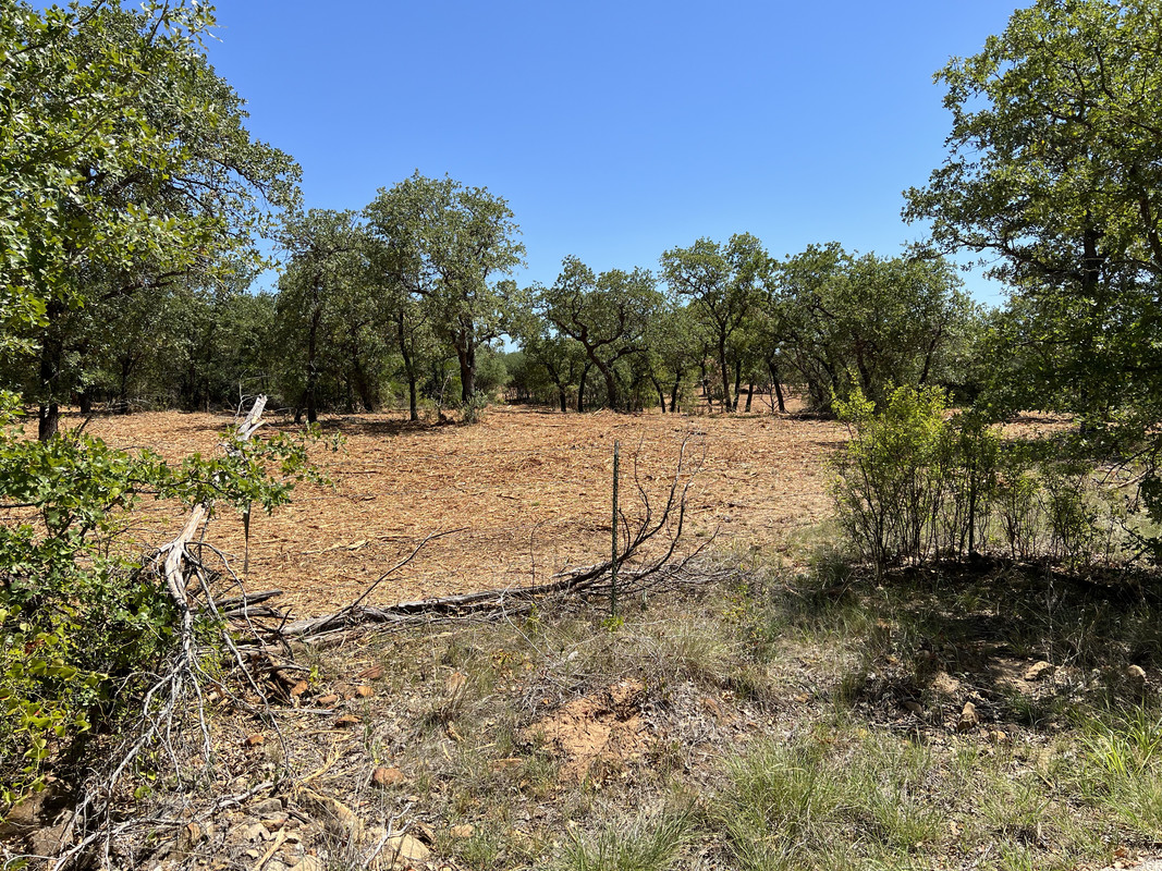 F79DDE42-4B7B-45F5-8CA2-2B280DE6236A