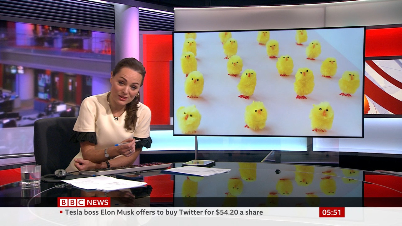 BBC News Fritz_20220415_05000600.ts_snapshot_00.53.47.245