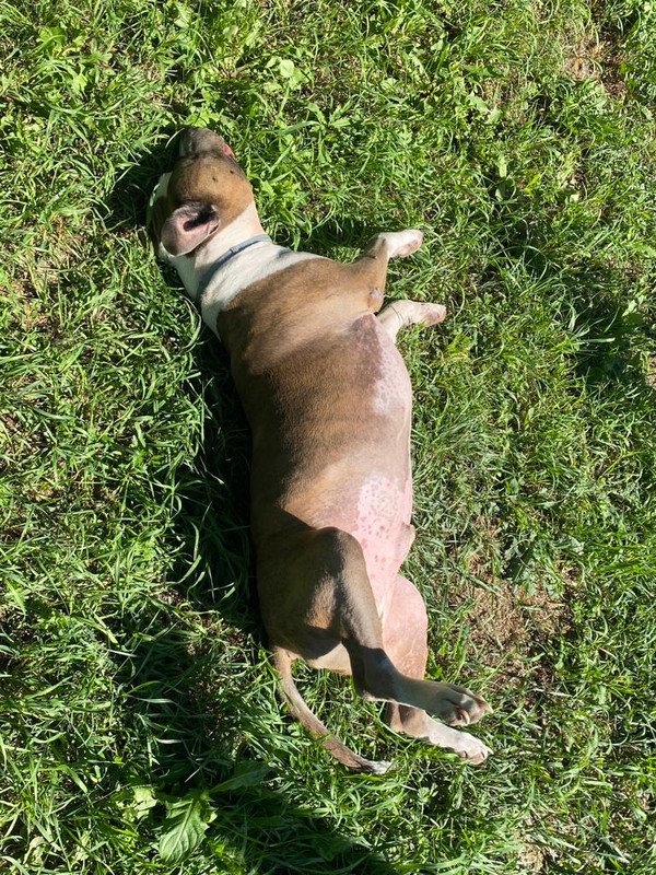 4120EA47-7574-407D-94EC-292D28C51A3C