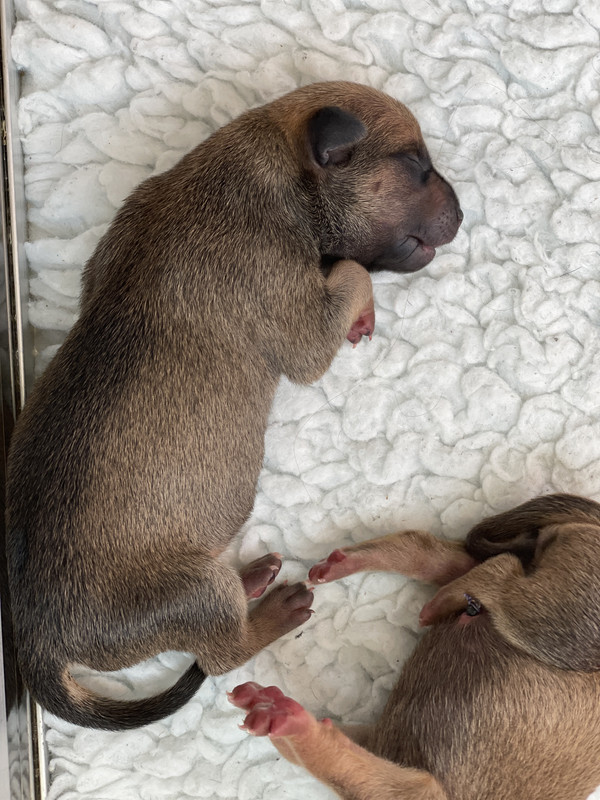 54B65FF5-8B3E-43BD-8D26-0EAC03E9363F