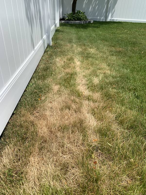 D8ED9043-63FA-4C8E-8F4C-D370B96BB3DE