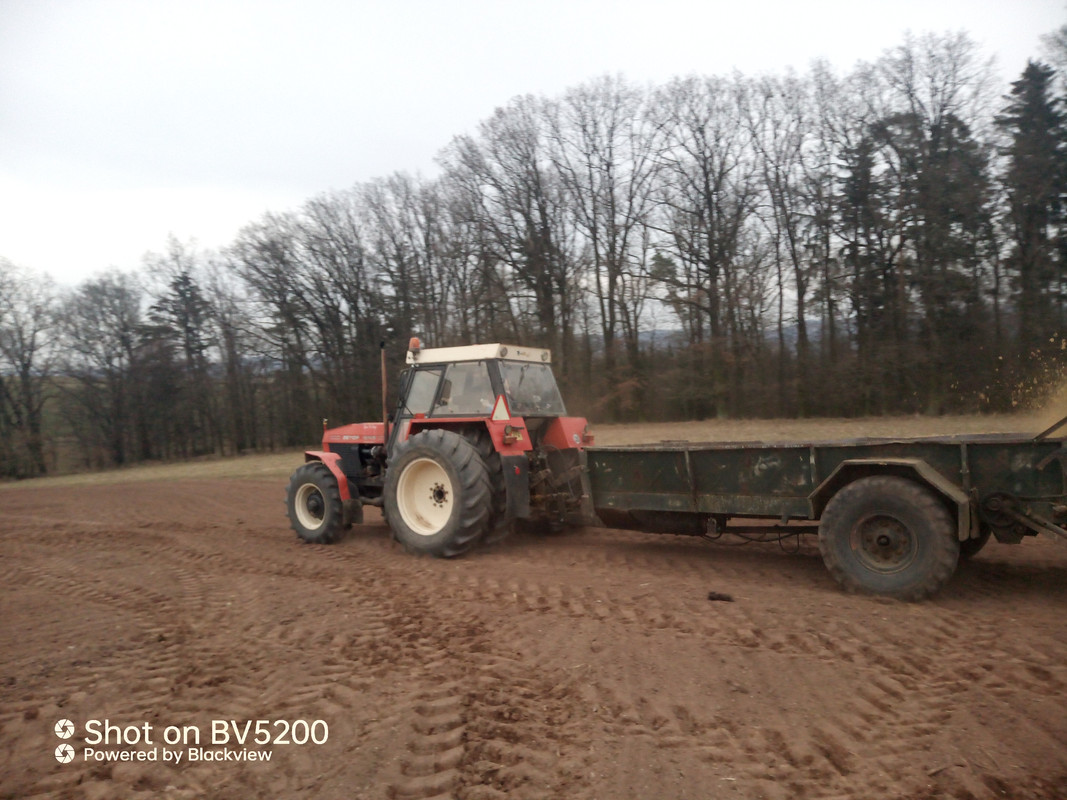 IMG_20250310_172025_630