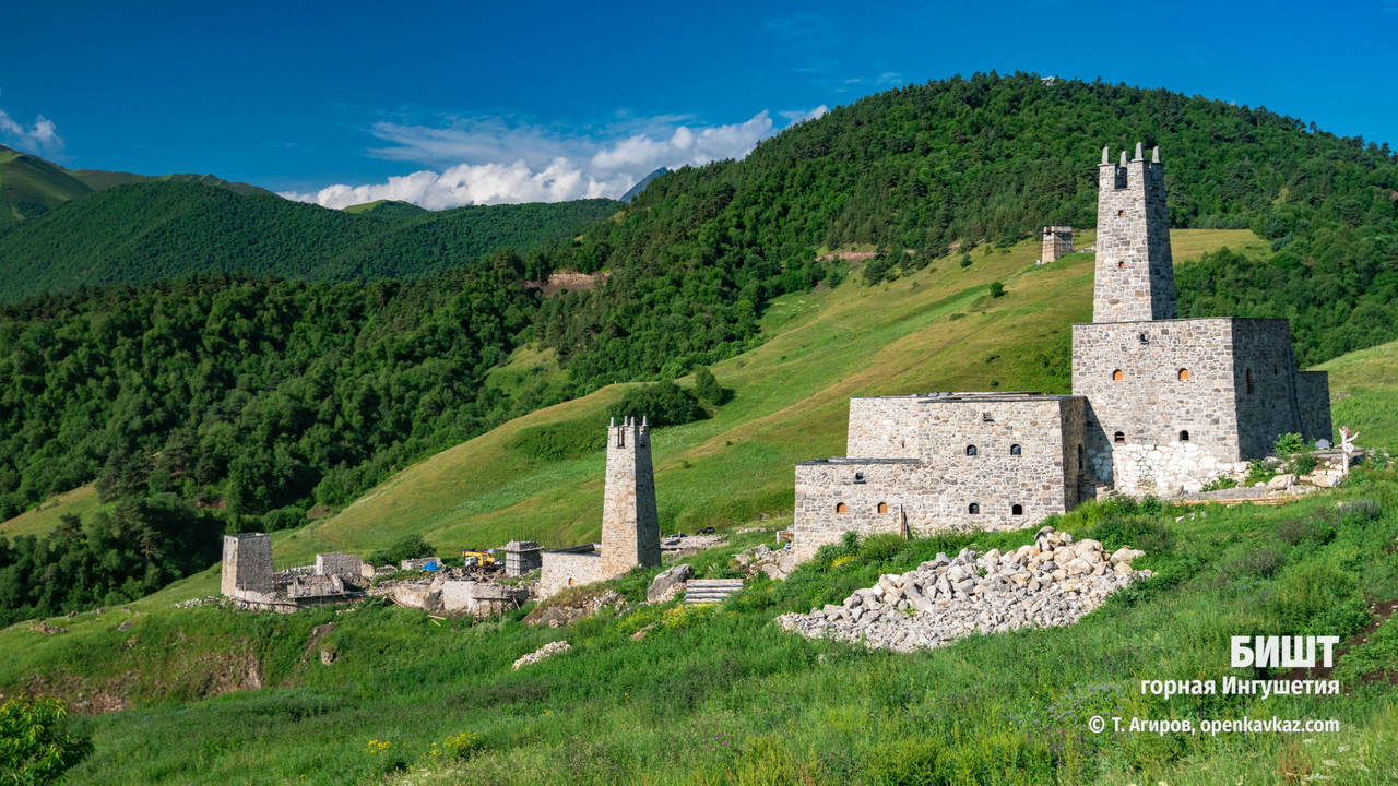 CEE04DCE-E08D-4B31-A168-D70506EEE0DA