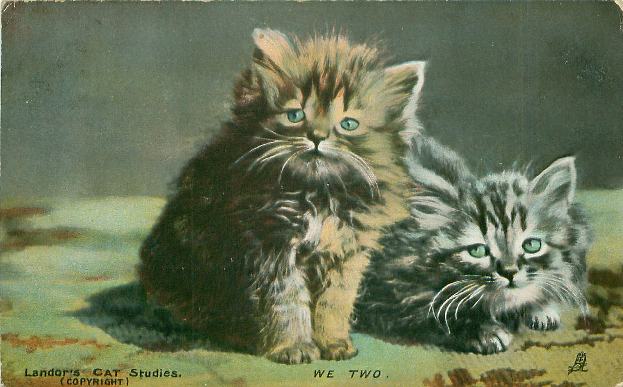 20-2011-06-15-18-09-55