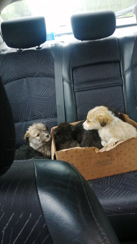 4DD9812B-A542-4F40-96B7-B0E12AC2E5A1