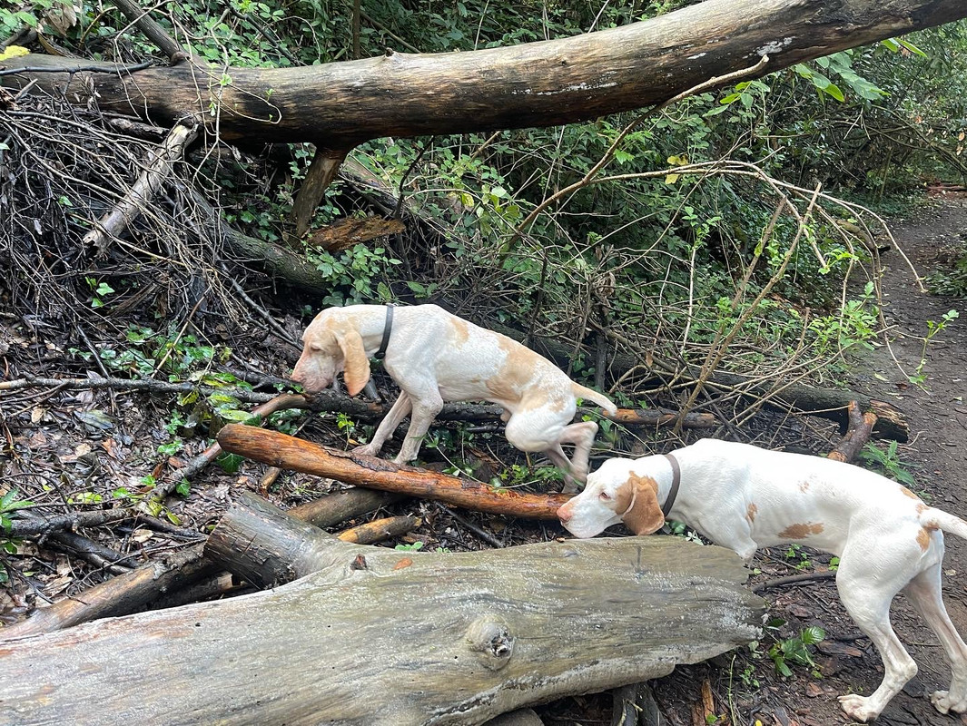 F07362C8-D099-4F5F-B630-82802535A5F4