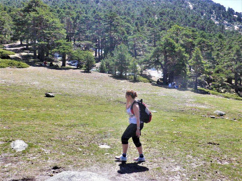 RUTA CAMINO SCHMIDT-9-4-2011-MADRID/SEGOVIA - Paseando por España-1991/2016 (13)