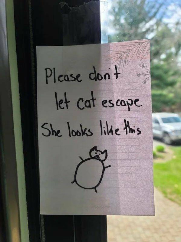 daily-picdump-52-4.jpg